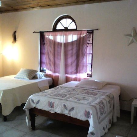 Dolphin Bay Yoga Guest House Drapers المظهر الخارجي الصورة