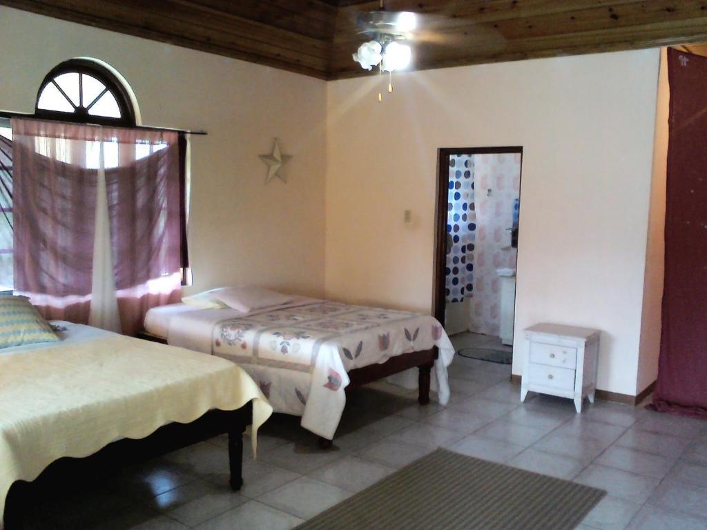 Dolphin Bay Yoga Guest House Drapers الغرفة الصورة