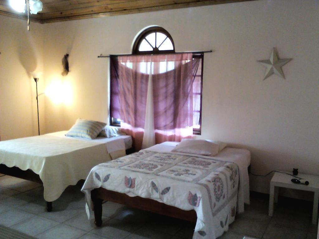 Dolphin Bay Yoga Guest House Drapers المظهر الخارجي الصورة