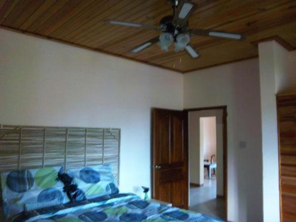 Dolphin Bay Yoga Guest House Drapers المظهر الخارجي الصورة