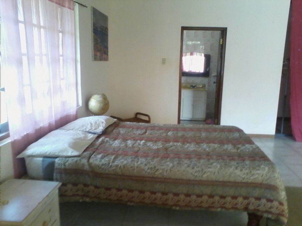 Dolphin Bay Yoga Guest House Drapers المظهر الخارجي الصورة